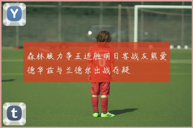 森林狼力争五连胜明日客战灰熊爱德华兹与兰德尔出战存疑