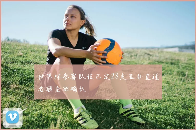 世界杯参赛队伍已定28支亚非直通名额全部确认