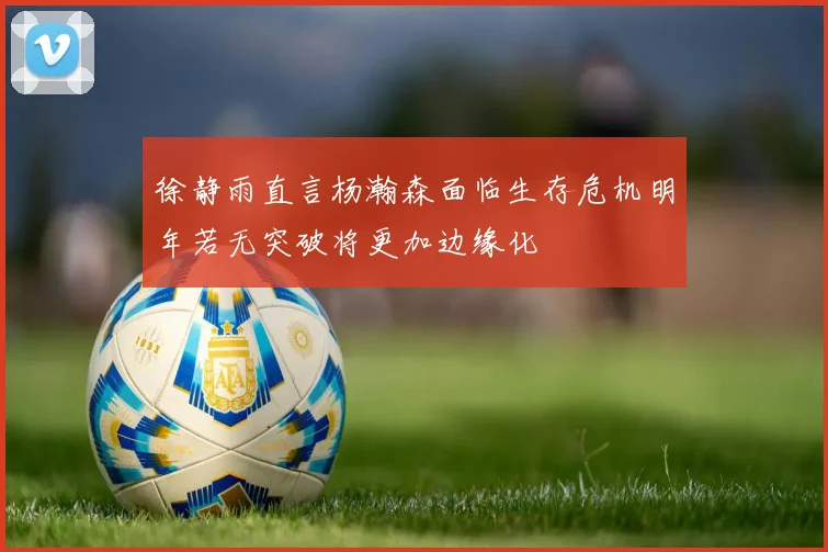 徐静雨直言杨瀚森面临生存危机明年若无突破将更加边缘化