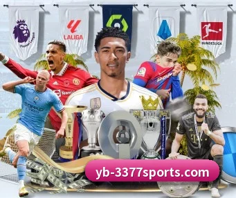 3377体育 APP | 3377Sports